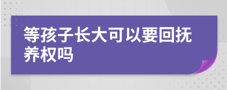 等孩子长大可以要回抚养权吗