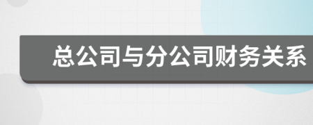 总公司与分公司财务关系