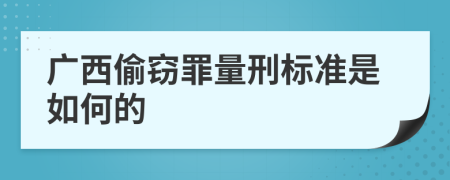 广西偷窃罪量刑标准是如何的