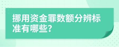 挪用资金罪数额分辨标准有哪些？