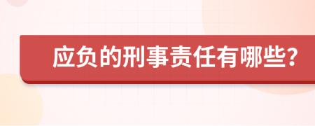 应负的刑事责任有哪些？