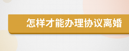 怎样才能办理协议离婚