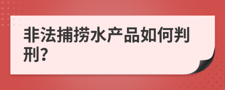 非法捕捞水产品如何判刑？