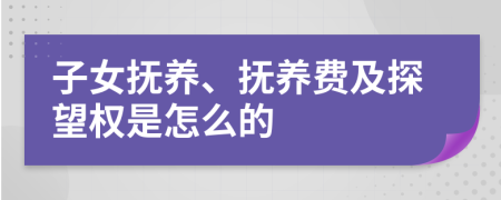 子女抚养、抚养费及探望权是怎么的