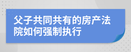 父子共同共有的房产法院如何强制执行