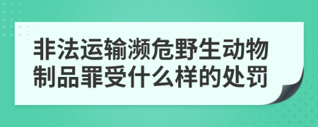 非法运输濒危野生动物制品罪受什么样的处罚