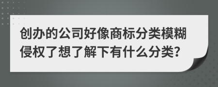 创办的公司好像商标分类模糊侵权了想了解下有什么分类？