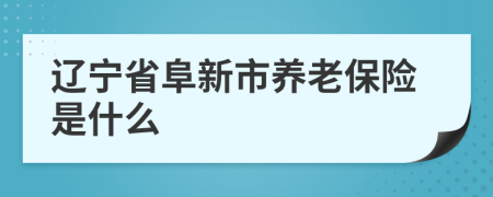 辽宁省阜新市养老保险是什么