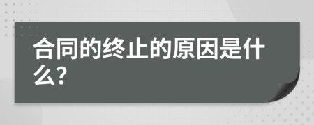 合同的终止的原因是什么？