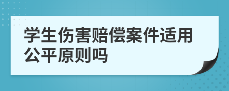 学生伤害赔偿案件适用公平原则吗