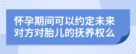 怀孕期间可以约定未来对方对胎儿的抚养权么