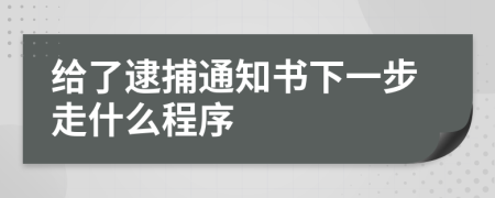 给了逮捕通知书下一步走什么程序