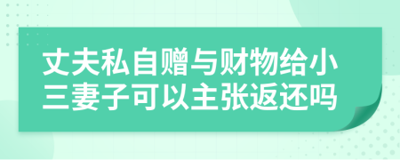 丈夫私自赠与财物给小三妻子可以主张返还吗