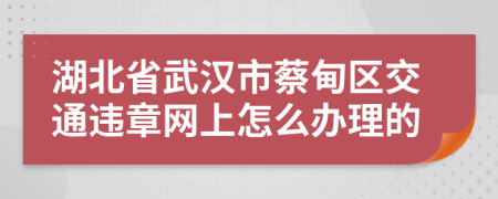 湖北省武汉市蔡甸区交通违章网上怎么办理的