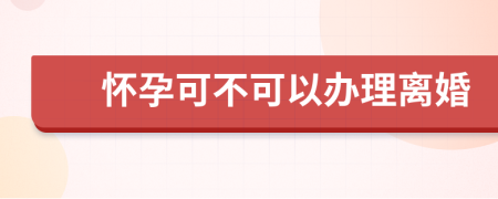 怀孕可不可以办理离婚