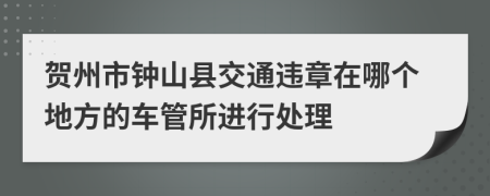 贺州市钟山县交通违章在哪个地方的车管所进行处理