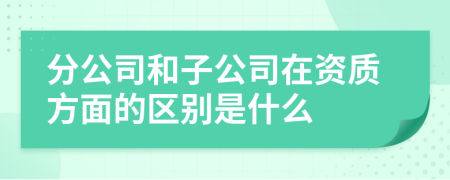 分公司和子公司在资质方面的区别是什么