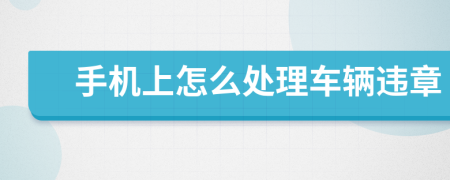 手机上怎么处理车辆违章
