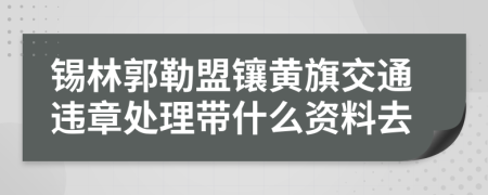 锡林郭勒盟镶黄旗交通违章处理带什么资料去