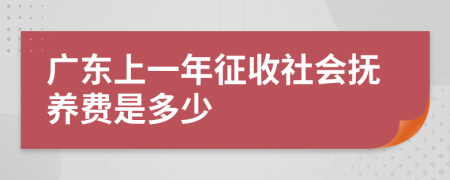 广东上一年征收社会抚养费是多少
