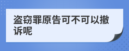 盗窃罪原告可不可以撤诉呢