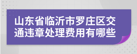 山东省临沂市罗庄区交通违章处理费用有哪些