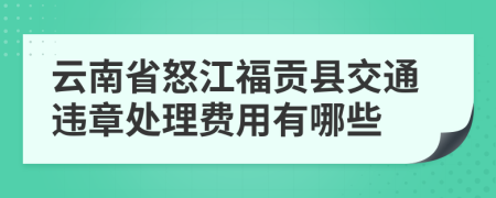 云南省怒江福贡县交通违章处理费用有哪些