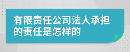 有限责任公司法人承担的责任是怎样的