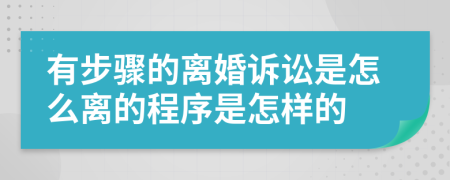 有步骤的离婚诉讼是怎么离的程序是怎样的