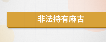 非法持有麻古