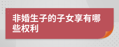 非婚生子的子女享有哪些权利