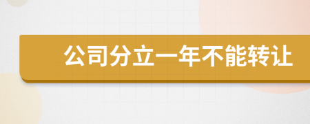 公司分立一年不能转让