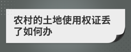 农村的土地使用权证丢了如何办