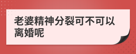 老婆精神分裂可不可以离婚呢