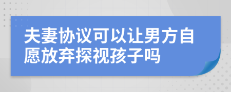 夫妻协议可以让男方自愿放弃探视孩子吗