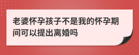 老婆怀孕孩子不是我的怀孕期间可以提出离婚吗