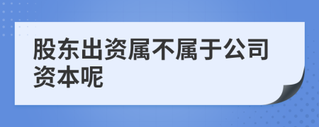 股东出资属不属于公司资本呢