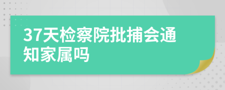 37天检察院批捕会通知家属吗