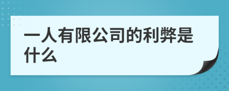 一人有限公司的利弊是什么