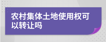 农村集体土地使用权可以转让吗
