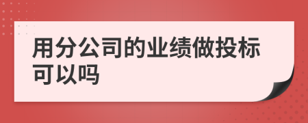 用分公司的业绩做投标可以吗