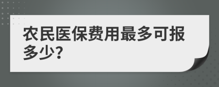 农民医保费用最多可报多少？