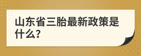 山东省三胎最新政策是什么？