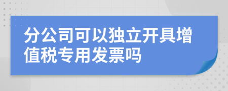 分公司可以独立开具增值税专用发票吗