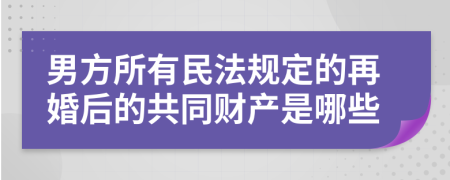 男方所有民法规定的再婚后的共同财产是哪些