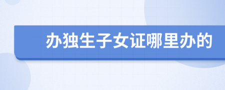办独生子女证哪里办的