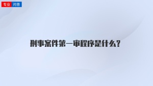 刑事案件第一审程序是什么？