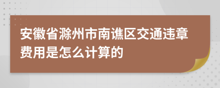 安徽省滁州市南谯区交通违章费用是怎么计算的