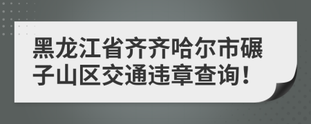 黑龙江省齐齐哈尔市碾子山区交通违章查询！