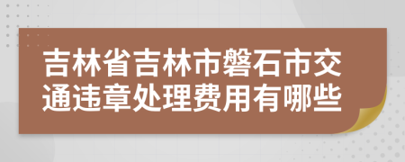 吉林省吉林市磐石市交通违章处理费用有哪些